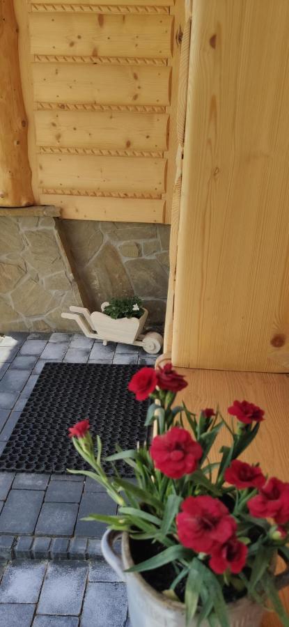 Goralskie Domki Na Podhalu - Z Jacuzzi Maniowy Ngoại thất bức ảnh
